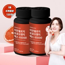 이안올로지 모로오렌지 맥스 65000, 120정, 2개