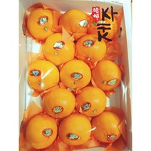 차칸유통 선물용 천혜향 고당도 로얄과 10과에서 13과 3Kg 한상자, 선물용 천혜향 향이좋은 10과~13과 3Kg 한상자