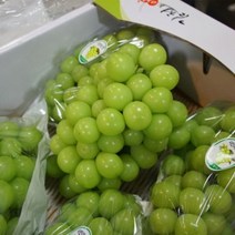[부자농산] 고당도 프리미엄 샤인머스켓 망고포도 상주 김천 영천 경산 영동 안성 선물 세트, 특등급 샤인머스켓 1-2송이 (0.8~0.9kg)