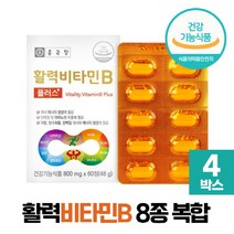 종근당 활력 비타민B 활성 비타민비 플러스 수용성 비타민B군 8종, 4개, 비타민B 60정