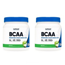 뉴트리코스트 BCAA 파우더 가루 540g 1회 6g 60회분 그린 애플 맛, 2팩