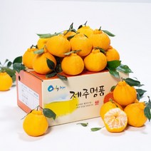 [자연맛남] 제주 고당도 한라봉 4.5kg (25과내외/벌크포장)