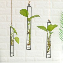 수경재배 행잉화분 유리 이레카야자 개운죽 식물 용기, 중형