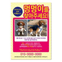 반려견찾기애완실종전단지 고양이 실종 강아지를찾아주세요 디자인무료, 샘플5, 50매