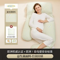 인체공학 바디필로우 임부 수면 특수 쿠션 전신베개, D