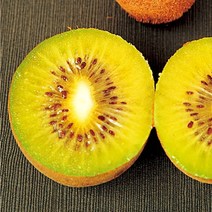 [과수] 키위(양다래) 접목1년 묘목 4종 (골드키위 레드키위 외), 골드키위, 1개