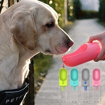 펫킷 에버스위트 트레벌 이동식 반려동물 물병, 그레이, 1개
