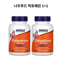 나우푸드 락토페린 초유 단백질 500mg 120캡슐, 120정, 2개