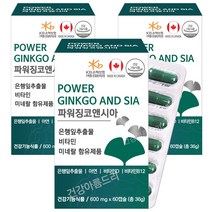 캐나다 파워 징코앤시아 60캡슐X3통/은행잎추출물 아연 비타민D B, 36g, 3개