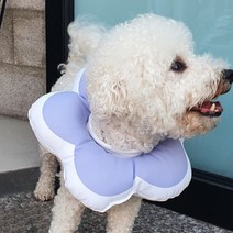 플라워 강아지 넥카라 고양이 중성화 퍼플 대형 대형견 꿀잠 진돗개 목덜미 머리 보호대 도넛 중형견 수술 넥쿠션 깔때기 경량 목 보호대 커버 넥칼라 시바견 쿠션 방수 꽃 소프트