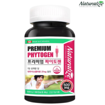 네추럴라이즈 대두 이소플라본 에스트로겐 파이토젠 180캡슐 6개월분, 1개, 180정