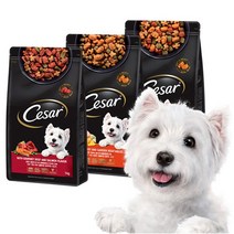 시저 건사료 1kg (연어맛이 견들인 쇠고기 토마토 곁들인 양고기 야채가 곁들인 칠면조), 가든 야채가 곁들인 칠면조 1kg, 3개, 3개