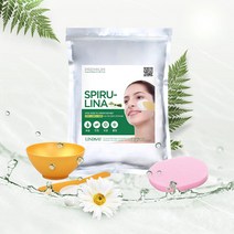 린제이 모델링팩(피부관리샵 사용) 1kg 10종 택1 티트리 스피룰리나 비타민 콜라겐 외+고급 황금 팩도구 3종세트+핑크해면, 스피룰리나  모델링 마스크팩 (지퍼)1kg, 팩도구 3종세트+해면