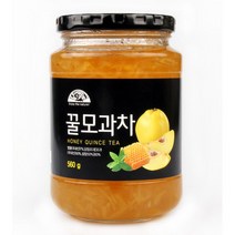 오가닉스토리 [오가닉스토리] 꿀모과차 560g, 단품없음