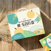 진심인 배도라지즙 작두콩 수세미 함유 약재 진액 차 성인 어린이 키즈 아기 유아 40포, 80ml