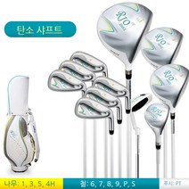 RIO 2세대 골프채 여성 골프채+가방 풀세트 여성 골프채 연습용 입문용, 11지 볼杆+골프백 (탄소섬유)