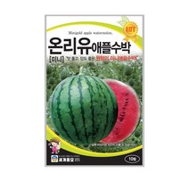 세계종묘 온리유애플수박씨앗 10립