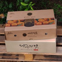 [7일간반짝할인] 제철과일 카라향 3kg(14-20수 고급이중포장) 제주의 봄을 깨우는 싱그러운 과즙이 팡팡!!
