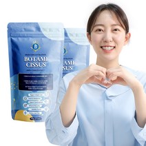 보타미 시서스가루 50배 농축 추출물 500g 대용량, 대용량500G, 2개