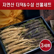 수삼 더덕 선물세트 국내산 강원도 인삼 생삼 산더덕 자연산 뿌리 껍질 산지직송 담금주 꿀절임 차 주스 무침 요리용 부모님 명절 설 추석 선물용, 3set