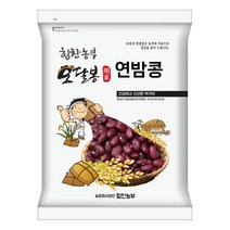 특품 수입 밤콩 연밤콩 울타리콩 양대, 1개, 500g