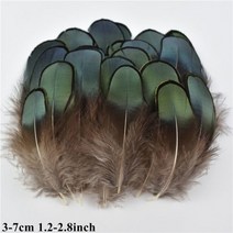 도매 천연 공작 꿩 깃털 작은 닭 거위 플라이 묶는 재료 수공예 액세서리 장식, 20 Piece, Size 3-7CM_2