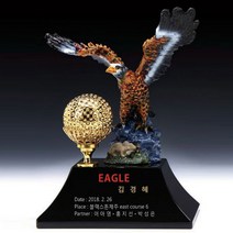 SP팩토리 골프트로피 홀인원 이글 싱글 우승 크리스탈트로피, 칼라, 1개