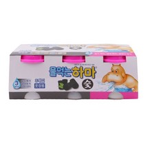 위즈펌 신발장 이불장 하마 습기제거제 숯 3개입 물먹는 옷장, 수량본상품선택, 개당 용량본상품선택