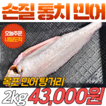 [당일신선생물] 목포 통치 민어 손질 2kg 탕거리 민어탕 민어국 민어지리탕
