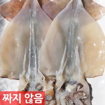 강영덕장 반건조 오징어 피데기 파품 파지 생물 손질오징어, 1세트, 생물 손질 오징어 1kg내외(7~9미)