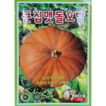 큰집맷돌호박 큰 맷돌 못난이 늙은 호박 텃밭 주말농장 채소 야채 종자 씨앗 씨