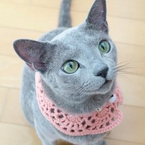 바보사랑 러블리 펫 케이프.멜로우, 2.아쿠아마린