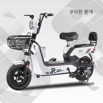 가성비전기자전거 세발 2인용 전기자전거 전동 자전거 자토바이, A. 하얀색