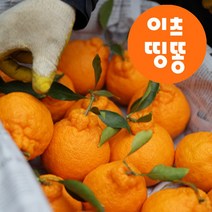제주 당도높은 고당도 만감 한라봉 가정용 명절 선물세트 3kg 5kg, 1kg 소과