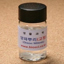 오피스안 양파뿌리(고정)10ml vial(40개입)BI-02