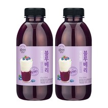 복음자리 진심의 블루베리 청 수제청 과일청 635g 1+1