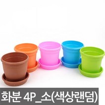 358온누리화분4P_소 미니화분 미니화분파는곳 예쁜미니화분 다육미니화분 실내미니화분