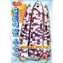 얼룩이 찰옥수수씨앗20g 진흥종묘 찰지고 맛좋은 얼룩이 옥수수