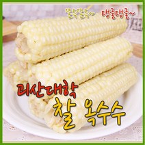 [수확후바로삶은] 괴산 대학찰옥수수 18개(3개씩포장), 단일속성