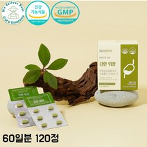 가의원 강한위장 한방 위건강 영양제 그린세라-F 금은화 인동덩굴꽃봉오리 추출물, 60정, 2개
