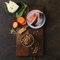 힐링펫 강아지사료 RESET 연어사료 400g, 5개 (10%할인)