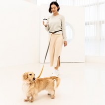 스탠다드펫 강아지 리드줄 핸즈프리 충격방지 탄성기능 벨트, 목줄 S ( 20mm )