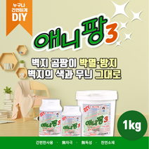 곰팡이 제거방지 투명페인트 요물애니팡 3 반영구적 간편시공 DIY 1Kg