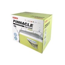 HS라이프 아이스박스 쿨러백 보냉백 쿨링 캠핑 바캉스 SM보냉력 강한 32L 휴대용, 단품, 단품