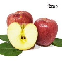경북사과 햇 꿀 홍로 빨간사과10kg 5kg 3kg [산지직송] 산들정, 1box, 04. 사과 10kg (53~60과 내외) 가정용 흠과