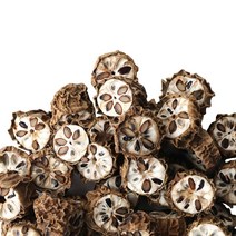 동의한재 최상품 자연산 국산 햇 말린 으름 덩굴 열매 3kg, 1개