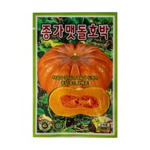 ks종묘 종가맷돌호박 씨앗 30