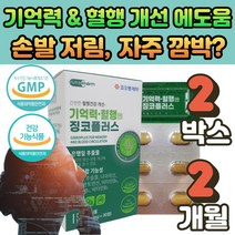 식 약 처인증 기억력 혈액순환 도움 고함량 징코 플러스 혈행개선 영양제 뇌 두뇌 다리 손 발 저림 에좋은 은행잎 추출물 빌로바 메디 감퇴 떨림 중년 여성 부모님 명절 선물, 02. 500mg *30정, 2개