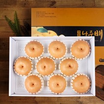 감동 9월25일 오전9시까지 주문시 명절전배송나주배 7.5kg 7-10과 제수용 -인증