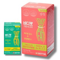 내장 지방 빼는법 탄수화물억제제 컷팅제 가르니시아 남자 다이어트 보조제 살빠지는 약 1달, 선택2_일양약품 카테킨